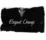 Elegant Change by Dan Alex