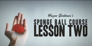 Wayne Goodman - Sponge Ball Course Lesson 2