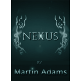 Nexus by Martin Adams