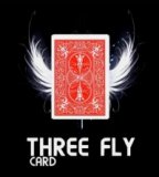 Three Fly Card by Mickael Chatelain