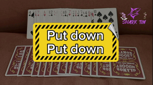 Put down - Put down by Shark Tin and JJ team