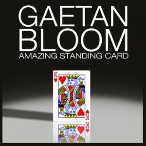 Amazing Standing Card by Gaetan Bloom