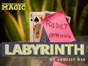 LABYRINTH by Abhijit Das (Instant Download)