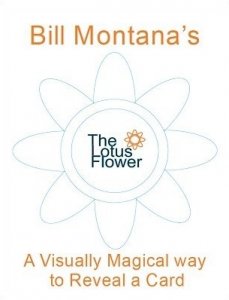 The Lotus Flower by Bill Montana