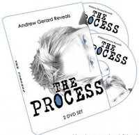 The Process by Andrew Gerard