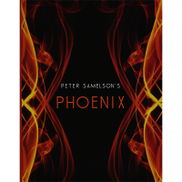 Phoenix by Peter Samelson