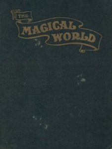 The Magical World by Max Sterling