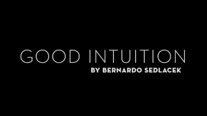 Good Intuition by Bernardo Sedlacek