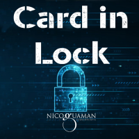 Card in Lock by Nicolas Guga (Instant Download)