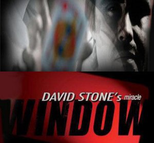 WINDOW by David Stone