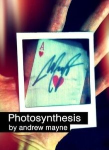 Photosynthesis by Andrew Mayne