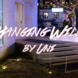 Hanging Wild by Uni