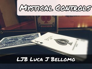 NEW CONTROLS PROJECT - Mystical Controls By LJB (Instant Download)