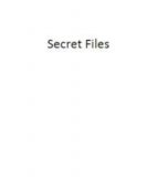 Secret Files by Vladimir Zyuzin