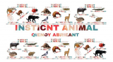 Instinct Animal by Ragil septia & Qienoy Abrieant