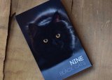 Nine Black Cats by Neemdog and Lorenzo