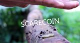 SCARECOIN by Arnel Creations