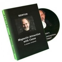 Magnetic Cane by Kenton Knepper